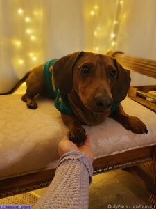 numi_r exclusive onlyfans leaked nudes