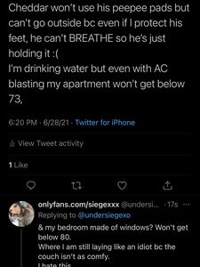 Siegex new hot onlyfans leaked nudes