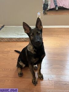 Cybersofty new hot onlyfans leaks