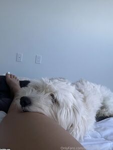 thecollegestripper new hot onlyfans leaked nudes