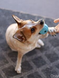 Katie Darling new hot onlyfans leaked nudes