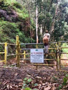 ava fae new hot onlyfans leaked nudes