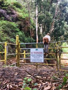 ava fae new hot onlyfans leaked nudes