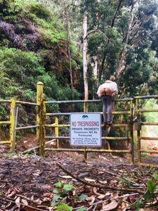 ava fae new hot onlyfans leaked nudes