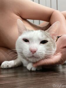 Arisa Asmr Deerlong new hot onlyfans leaked nudes