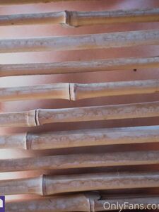 Christinalustxxx onlyfans leaks nude photos and videos